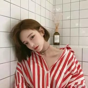 狗吃掉了影子